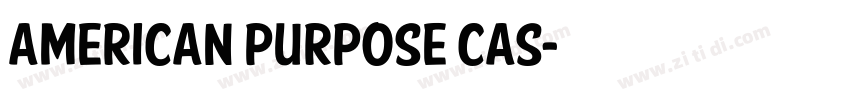 American Purpose Cas字体转换